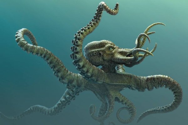 Kraken darknet market ссылка тор